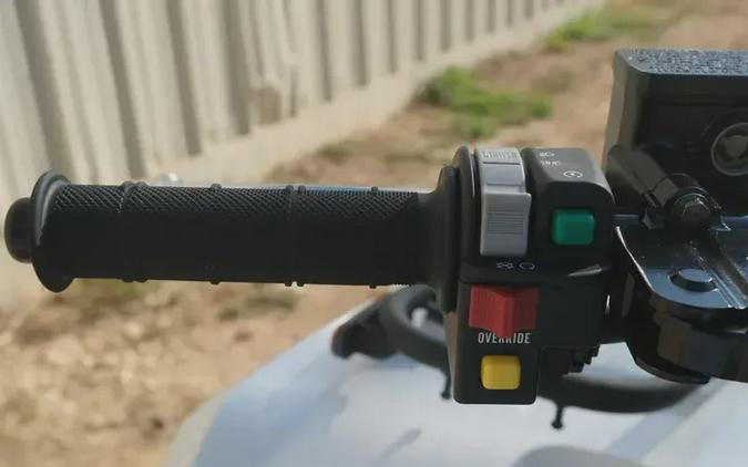 New 2025 KAWASAKI BRUTE FORCE 450 4X4