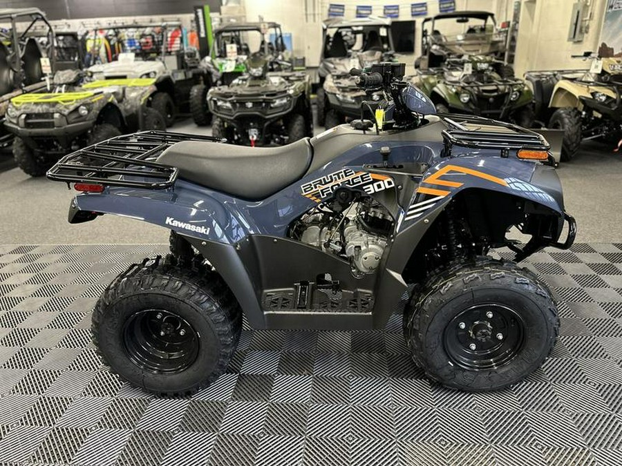 2024 Kawasaki Brute Force® 300