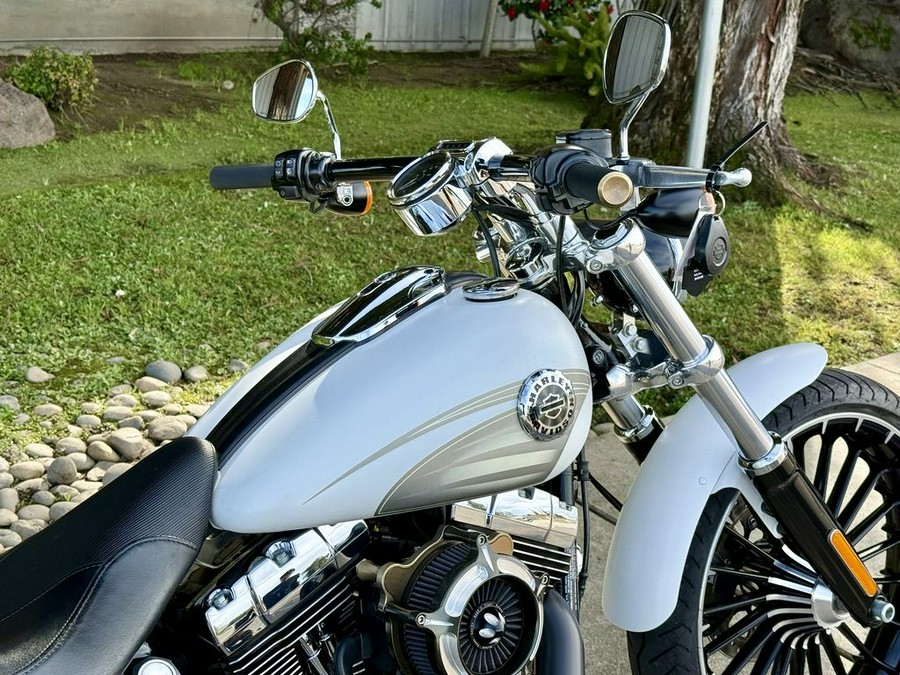 2017 Harley-Davidson® FXSB - Breakout®