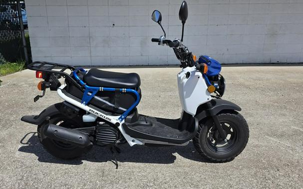 2022 Honda RUCKUS