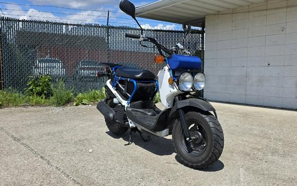 2022 Honda RUCKUS
