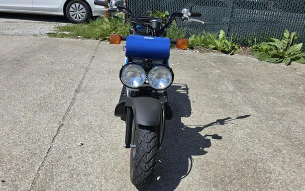 2022 Honda RUCKUS