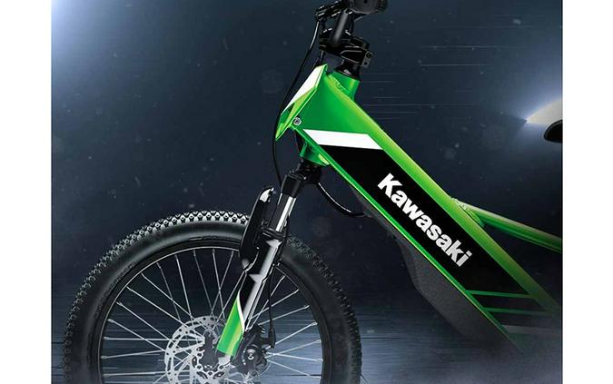 2025 Kawasaki Elektrode® 20
