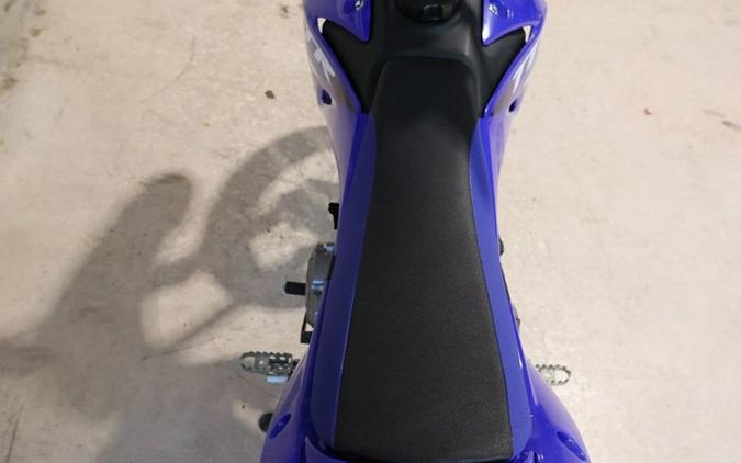 2025 Yamaha TT-R 110E