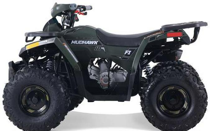 2026 Denago Powersports Mudhawk 10FI