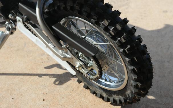 2026 KAWASAKI KLX110R