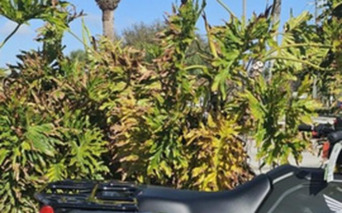 2026 Honda FourTrax Foreman Rubicon 4x4 EPS