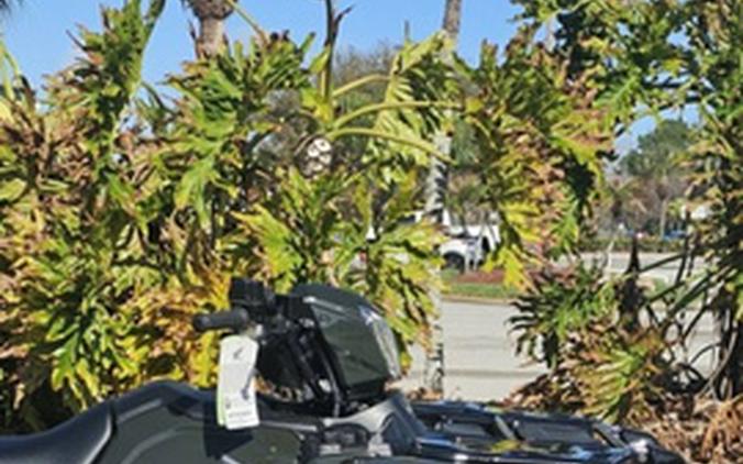 2026 Honda FourTrax Foreman Rubicon 4x4 EPS