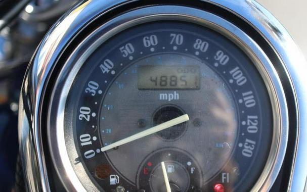 2004 Kawasaki Vulcan® 1500 Nomad™