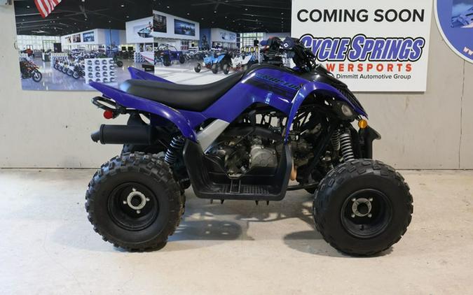 2025 Yamaha Raptor 110