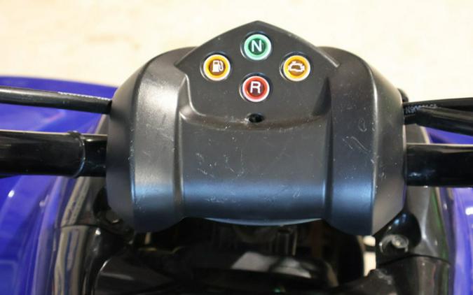 2025 Yamaha Raptor 110
