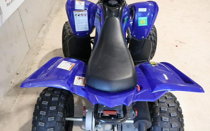 2025 Yamaha Raptor 110