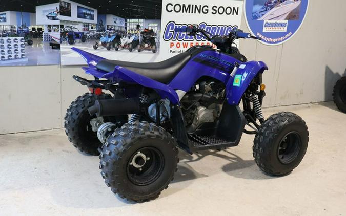 2025 Yamaha Raptor 110