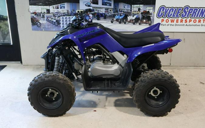 2025 Yamaha Raptor 110