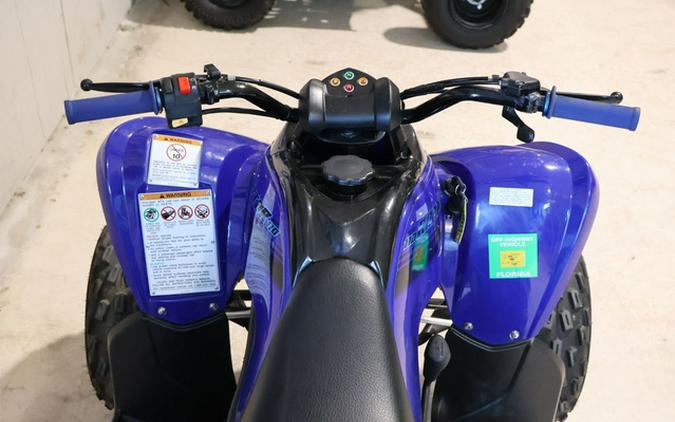 2025 Yamaha Raptor 110
