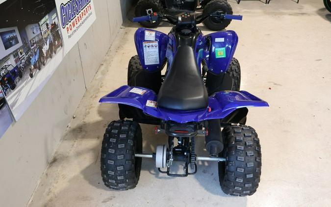 2025 Yamaha Raptor 110
