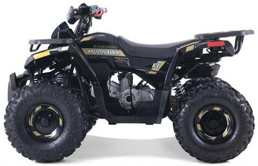 2026 Denago Powersports Mudhawk 10FI