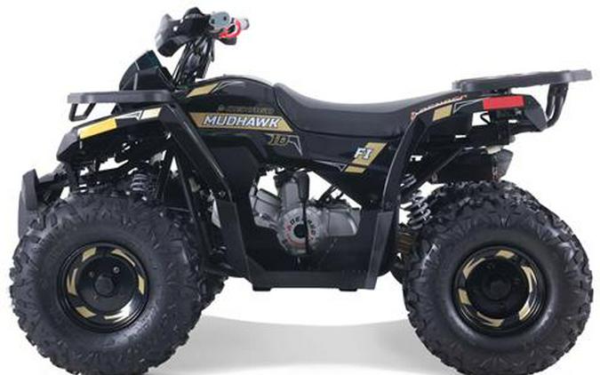 2026 Denago Powersports Mudhawk 10FI