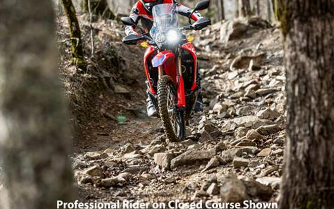 2023 Honda CRF300L Rally ABS