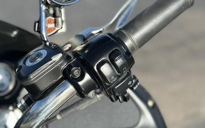 2005 Harley-Davidson® FLTRI - Road Glide® Injection