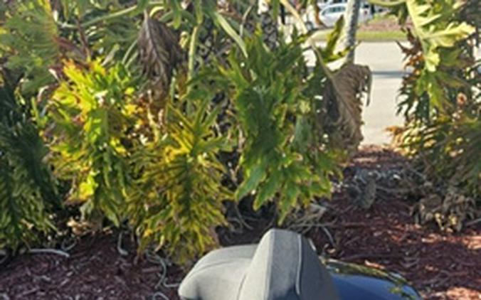 2026 Honda Gold Wing Tour Automatic DCT