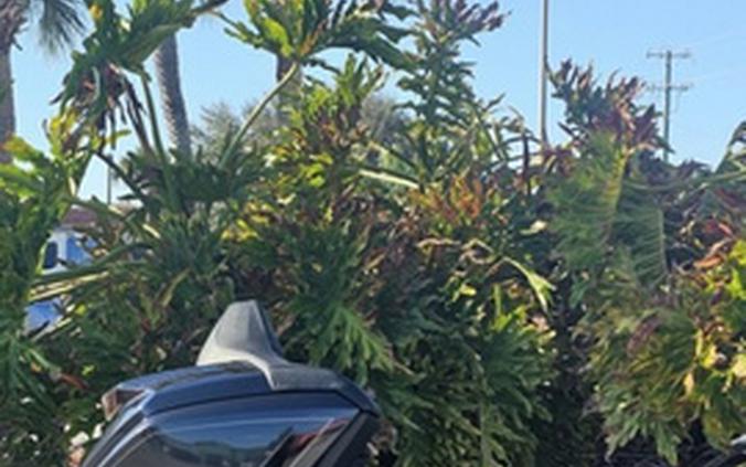 2026 Honda Gold Wing Tour Automatic DCT