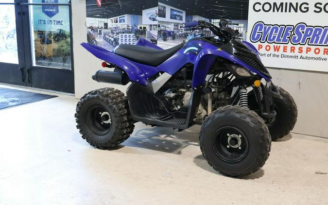 2025 Yamaha Raptor 110