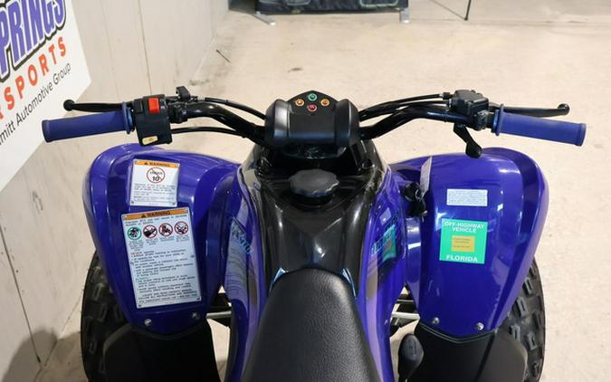 2025 Yamaha Raptor 110
