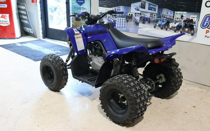2025 Yamaha Raptor 110