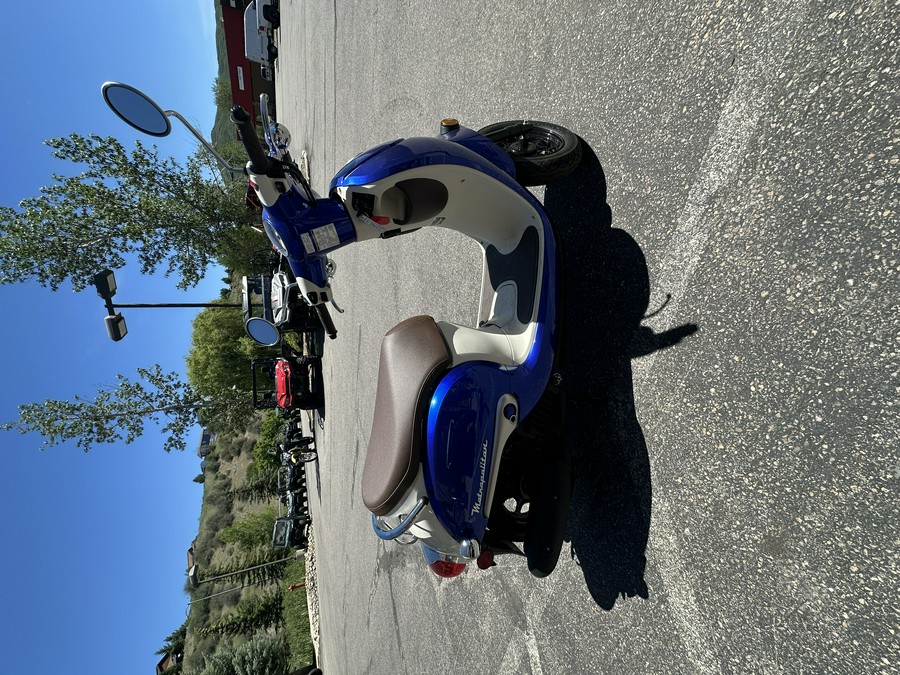 2024 Honda METROPOLITAN Blue Metallic - HC2613