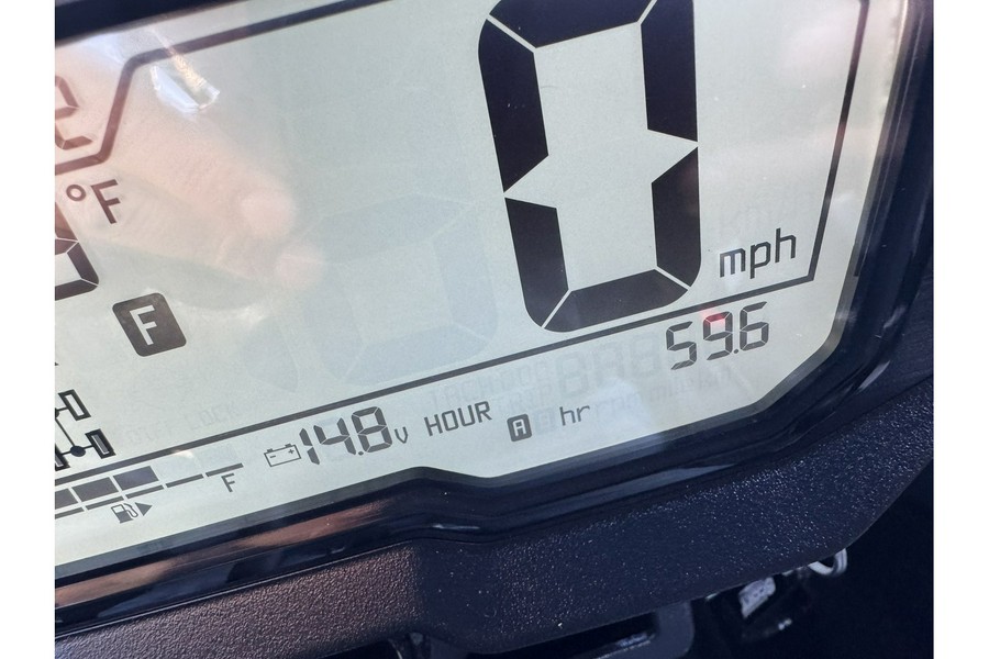 2024 Kawasaki TERYX KRX1000 TRIAL
