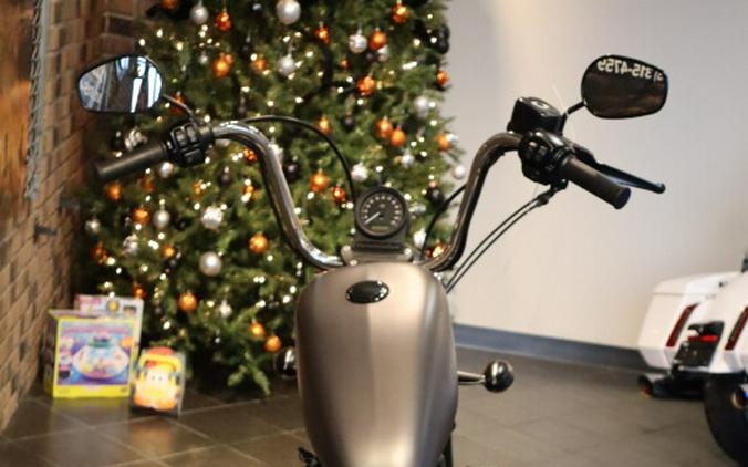 2017 Iron 883™ (XL883N)