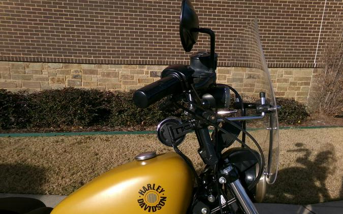 2019 Harley-Davidson® XL 883N - Sportster® Iron 883™