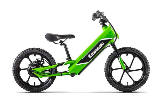 2024 Kawasaki Elektrode