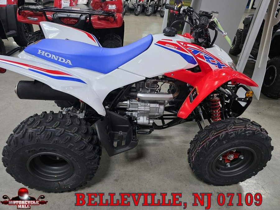 2026 Honda TRX 250X