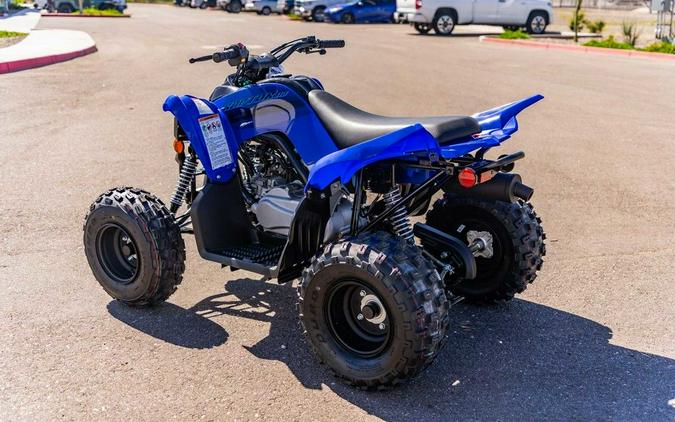 2025 Yamaha Raptor 110