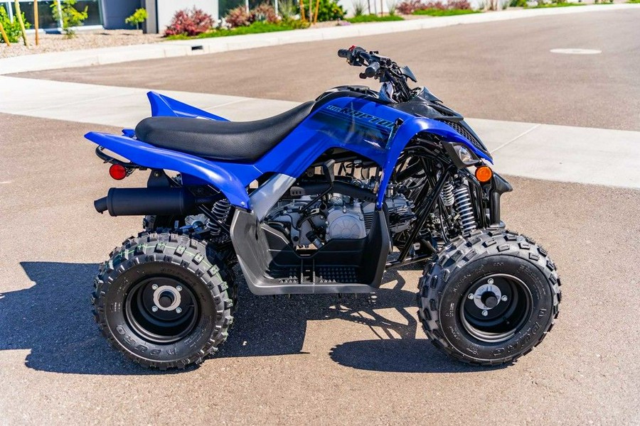 2025 Yamaha Raptor 110