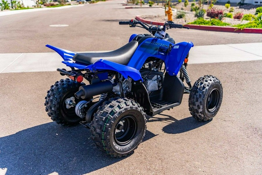 2025 Yamaha Raptor 110