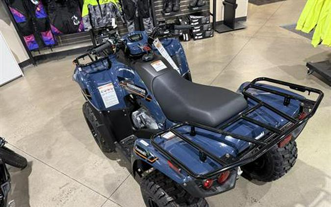 2025 Kawasaki Brute Force 300