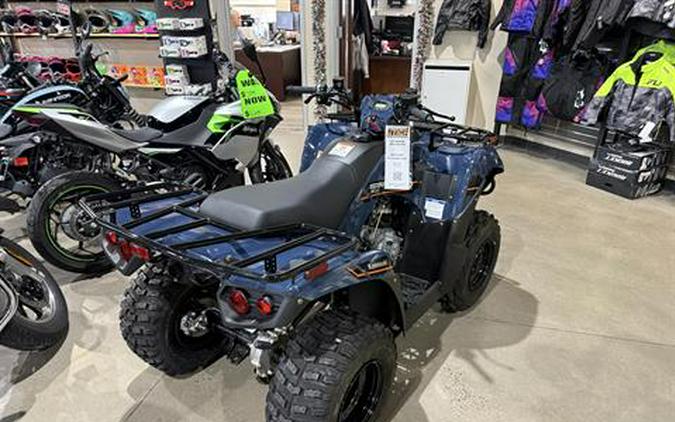 2025 Kawasaki Brute Force 300