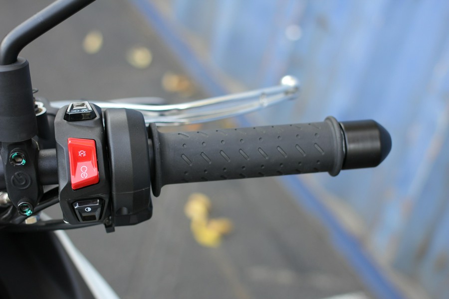 2024 APRILIA Tuono V4 Factory 1100