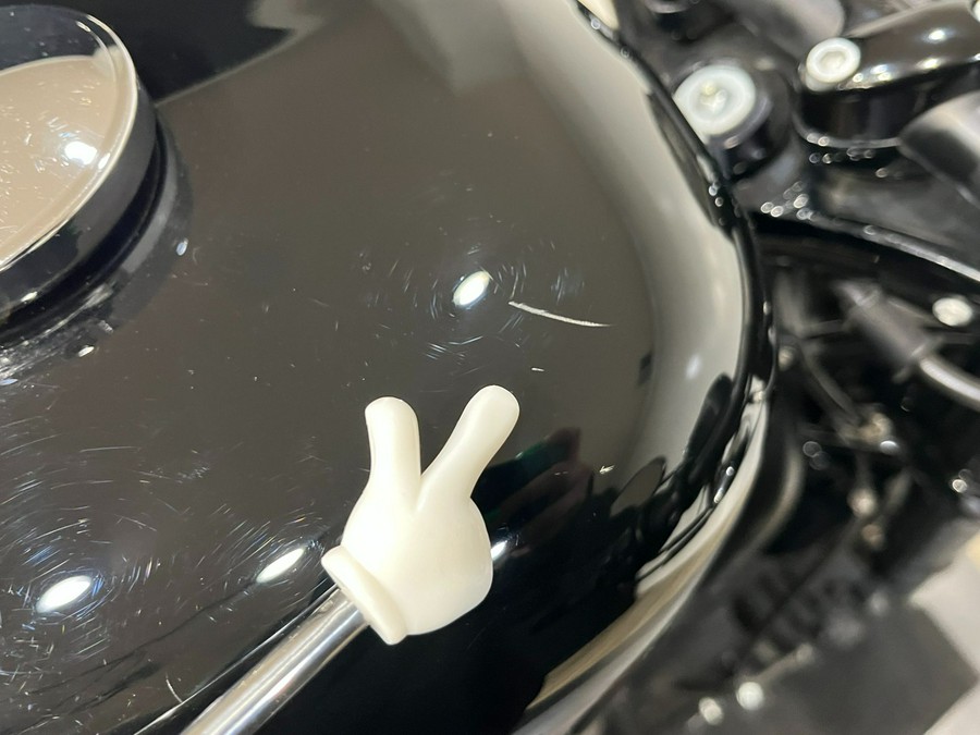 2019 Harley-Davidson Roadster™