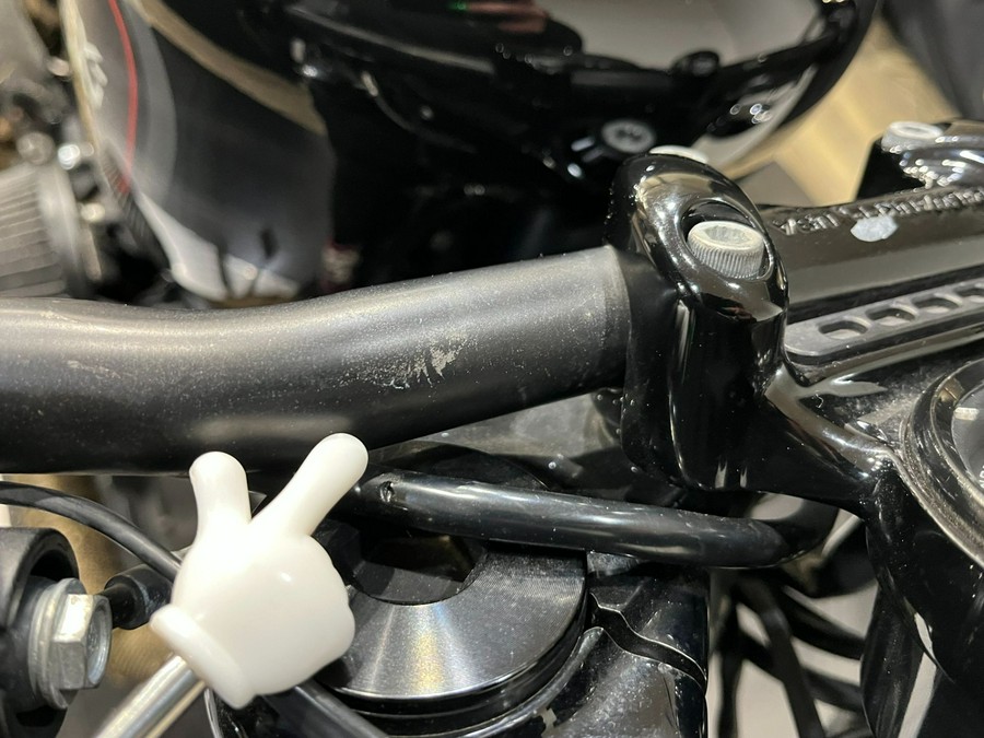 2019 Harley-Davidson Roadster™
