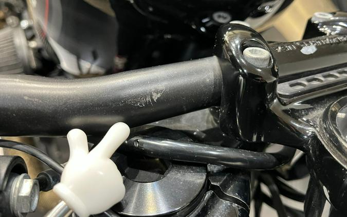 2019 Harley-Davidson Roadster™