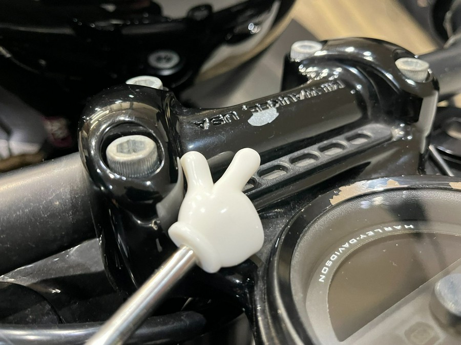 2019 Harley-Davidson Roadster™