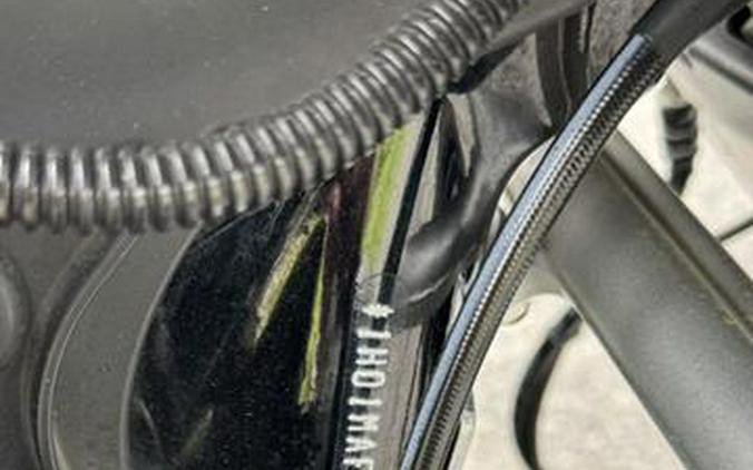 2020 Harley-Davidson Tri Glide® Ultra