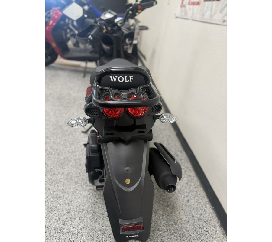 2026 WOLF RUGBY II - W9585