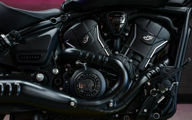 2025 Indian Motorcycle Scout