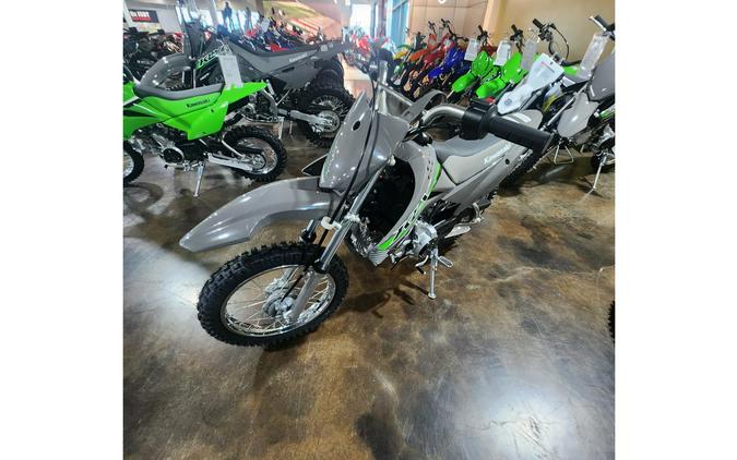 2024 Kawasaki KLX® 110R