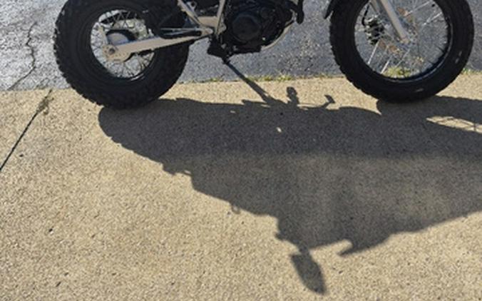 2027 Yamaha TW 200